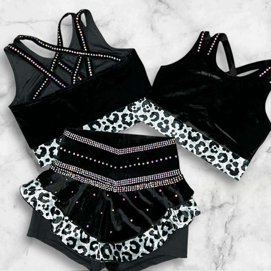 Leopard High Waist Skirt Set