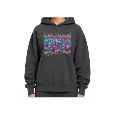 Ice Birds Hoodie